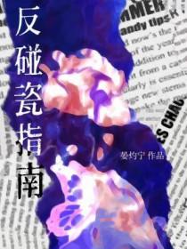 反碰瓷指南全文免费阅读