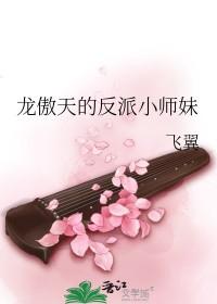 龙傲天主角的