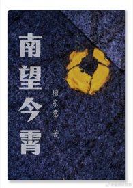 南望今霄结局