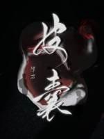 皮囊广播剧