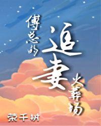 傅总的追妻火葬场百度