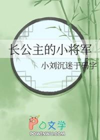 长公主的小将军全部章节