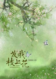 发我枝上花TXT