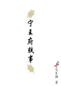 宁王府轶事TXT