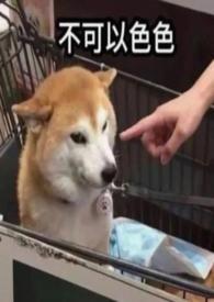 穿成年代文里的恶毒后妈