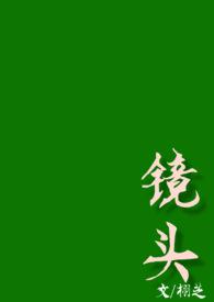 镜头 校园 全文免费阅读