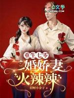 二婚娇妻火辣辣 招财小金子
