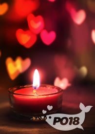 越做越爱免费全文阅读