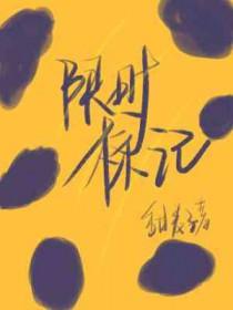 限时与限定有什么区别