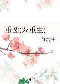 双重生 甜文