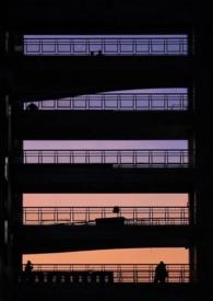 纯友谊