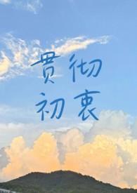 贯彻初衷txt