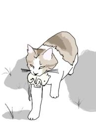 十八线女明星上位记沈