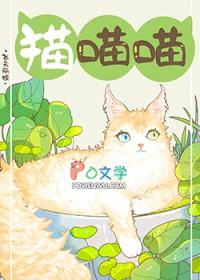 捡到流浪猫咋办