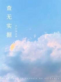 查无实据是什么