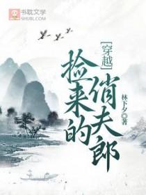 捡来的媳妇txt懒几