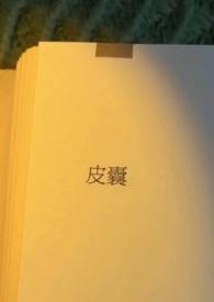 皮囊(出轨)by
