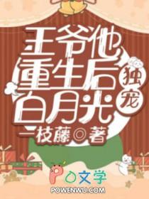 王爷重生后宠男妃