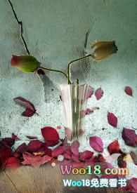 养父的花样年华剧情介绍(1-33全集)