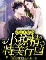 重生霸宠偏执大佬的小撩精恃美行凶完本