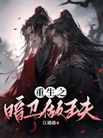 重生之暗卫做王夫无删减在线阅读