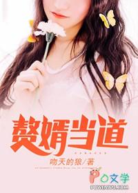麻衣神婿