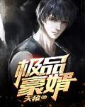 极品豪婿江舟