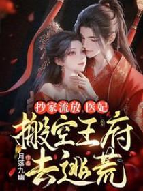 抄家流放医妃搬空王府去逃荒