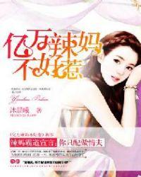 亿万辣妈不好惹别名