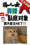 路人女a弄错卧底对象了番外免费阅读