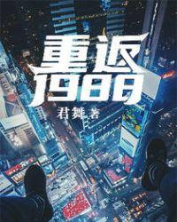 重返1988大致内容