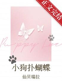 小狗扑蝴蝶简笔画大全