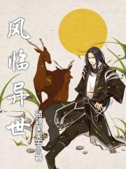 风临异世燃文