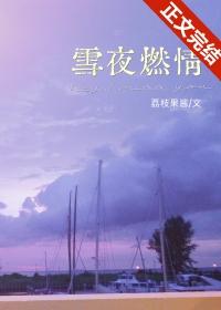 雪夜幽情