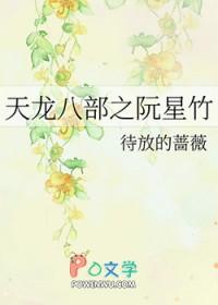 天龙八部阮星竹肉版
