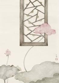愿我如星君如月花火