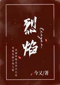 烈焰txt