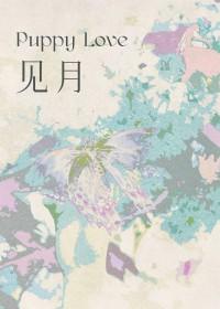 见月忽指