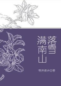 落雪满南山pan