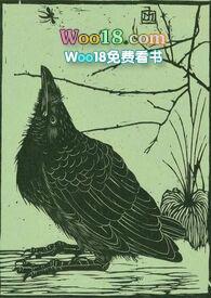 空壳公司转让有什么风险