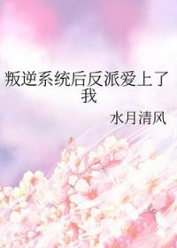 反叛系统孙小圣