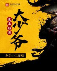 北宋最强大少爷百科