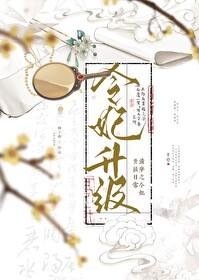 清穿之令皇贵妃晋升记