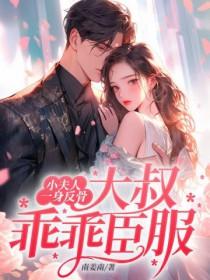 小夫人全文免费