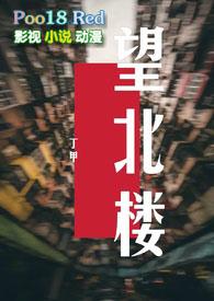 望北楼里的底牌