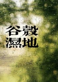 谷壳照片