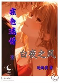 夜色迷离是什么意思