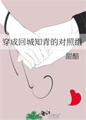穿成回城知青对照组 晋江 手机版