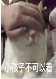 圈养阅读折枝