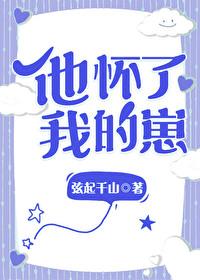 他怀了我的孩子by殷司全文免费阅读